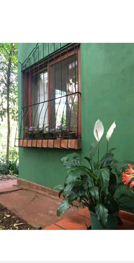 Apartamento Jardín de Naipí Puerto Iguazú Exterior foto